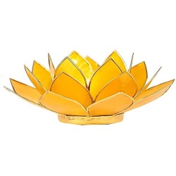 Loto portalumino giallo