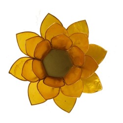 Loto portalumino giallo