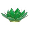Loto portalumino verde