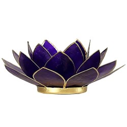 Loto portalumino viola