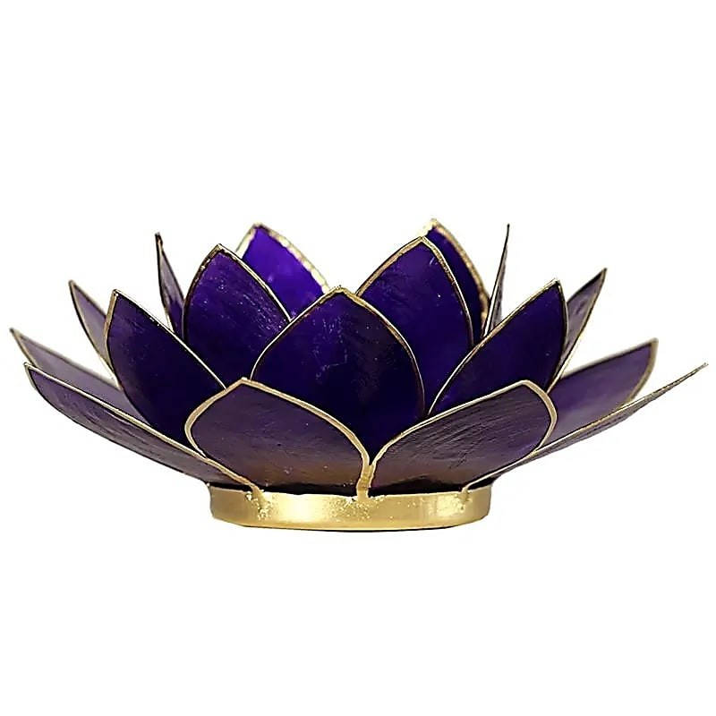 Loto portalumino viola