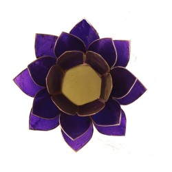 Loto portalumino viola