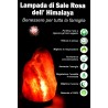 Lampada di sale 2/3 kg